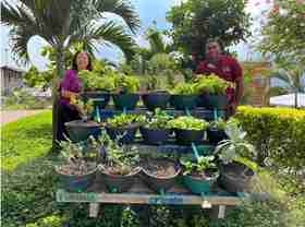 Organoponics vegetable garden at Mio Cable station in Tierra Blanca neighborhood