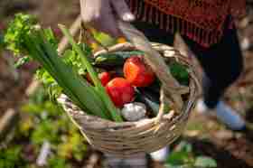 Ein Korb mit frischem Gemüse in einem Garten, der heimische Gartenarbeit und nachhaltiges Leben symbolisiert.
